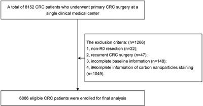The effect of carbon nanoparticles staining on lymph node tracking in colorectal cancer: A propensity score matching analysis
